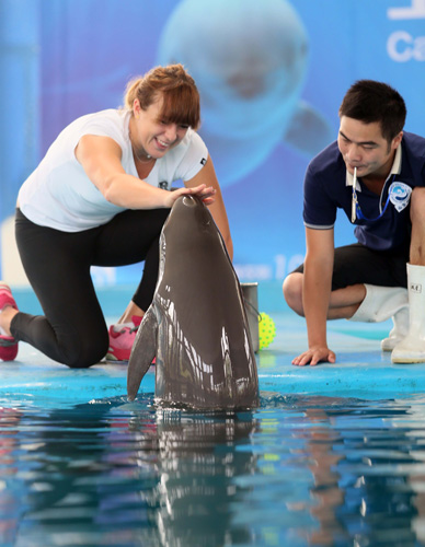 能力的提升 能力的提升