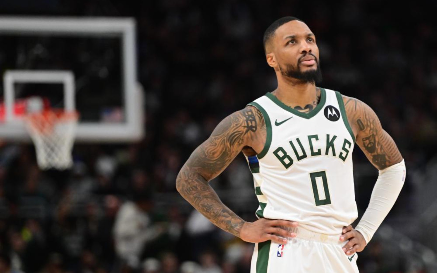 展现出出众 展现出出众